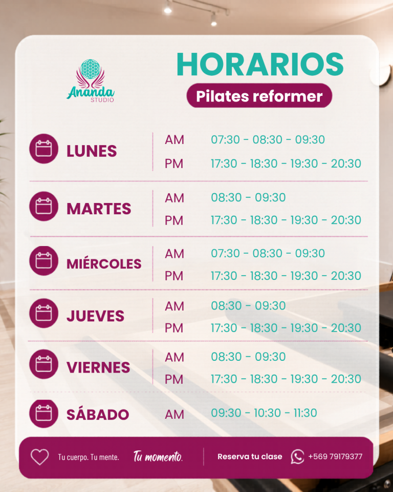 horario reformer pto montt
